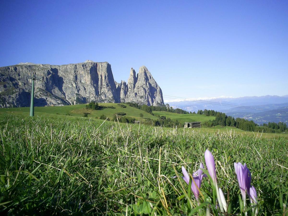 Seiser Alm Urthaler Alpe Di Siusi Exterior foto